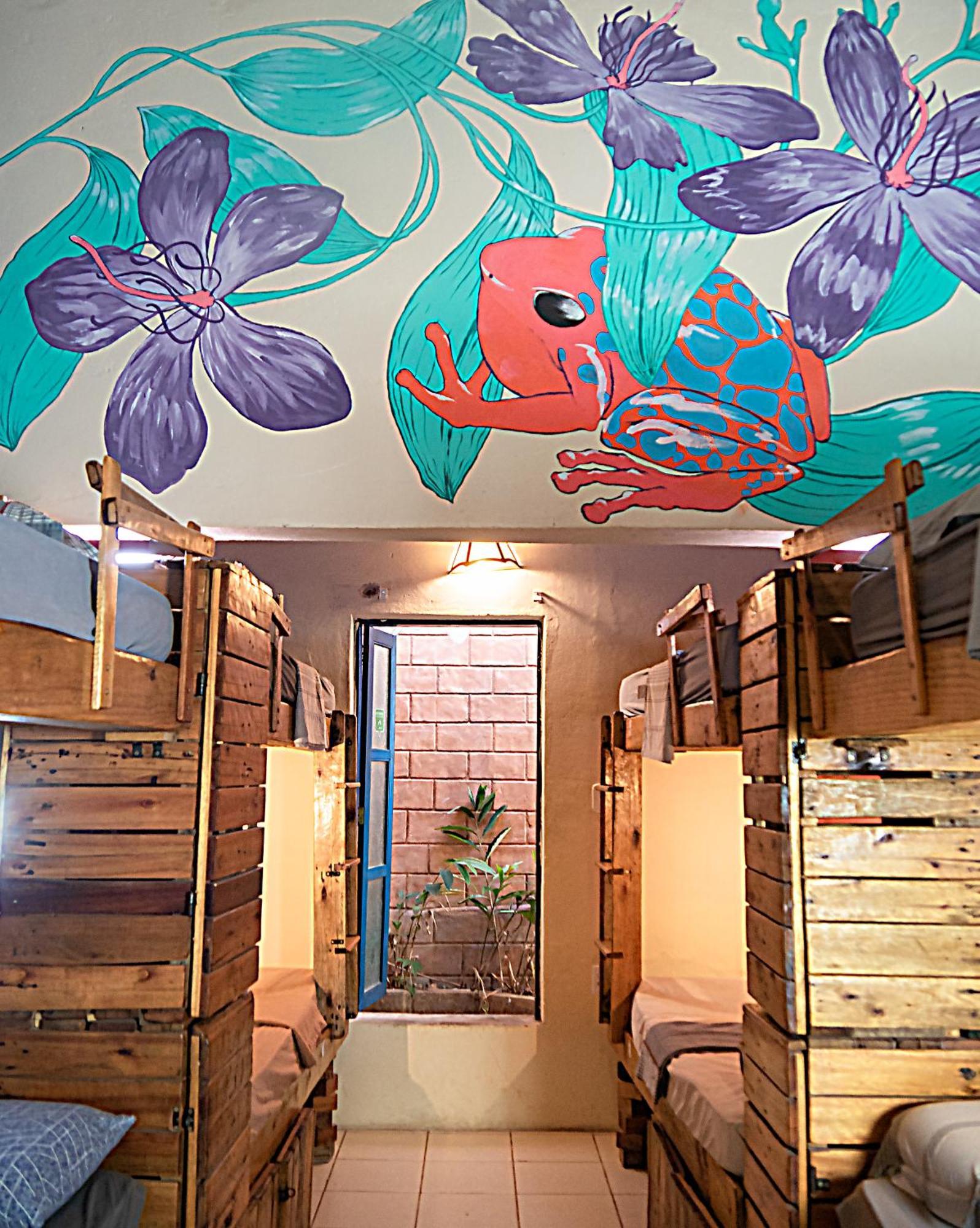 Chapada Backpackers Hostel Agencia Lencois Eksteriør billede